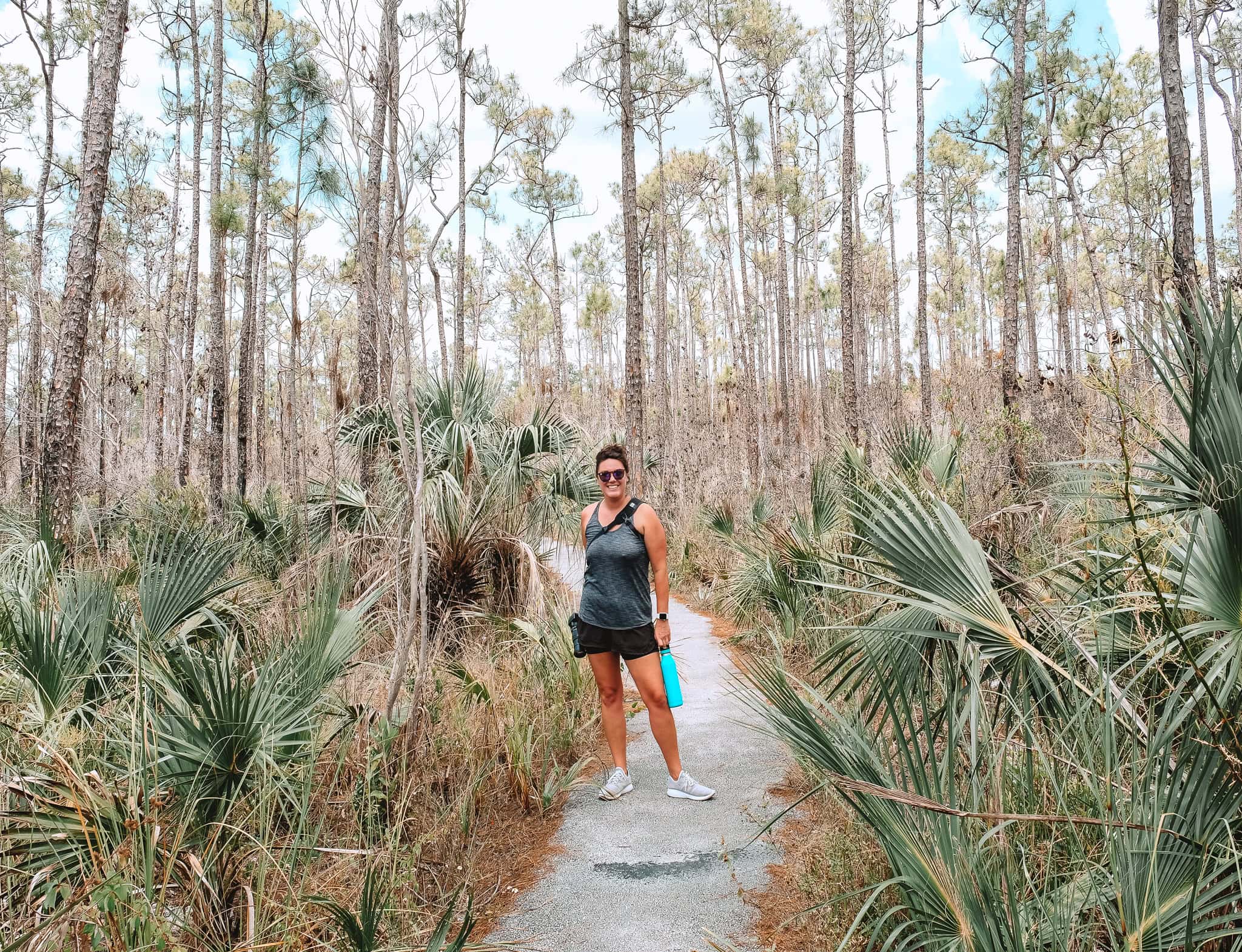 Everglades National Park Hiking Trails The Best Hikes In Everglades National Park | Her Life Adventures