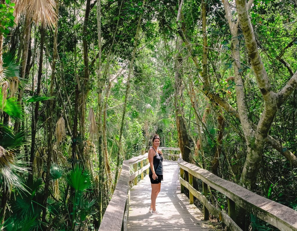 This hiking guide to Everglades National Park will explore hiking trails for beginner, paddle water trails, long hikes through the various landscapes of the park. #everglades #nationalpark #adventure #guide #itinerary #thingstodo #hike #hikingtrails