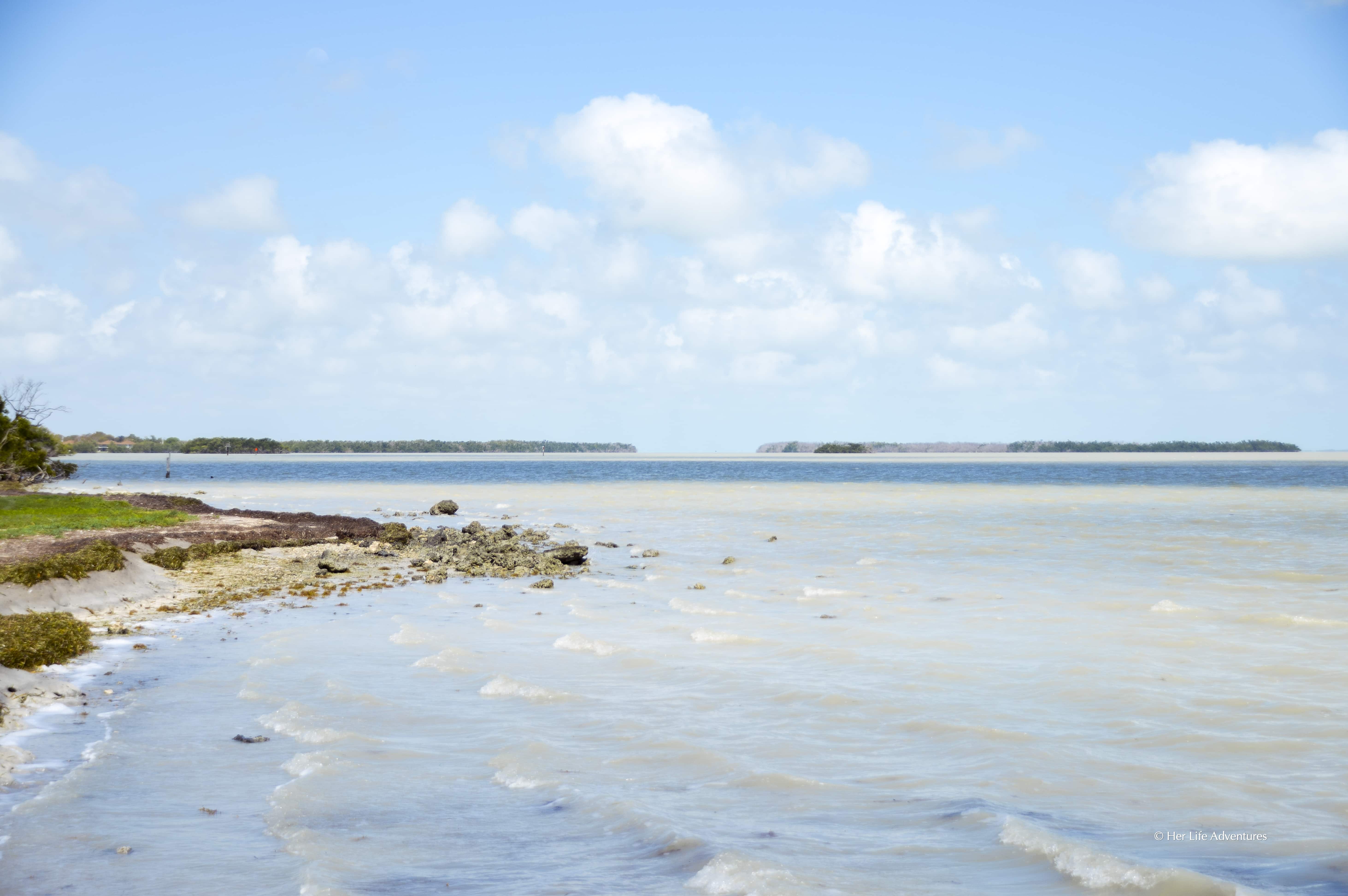 Everglades National Park paddle water #trail, and best #hikes #everglades #nationalpark #florida #wheretogo