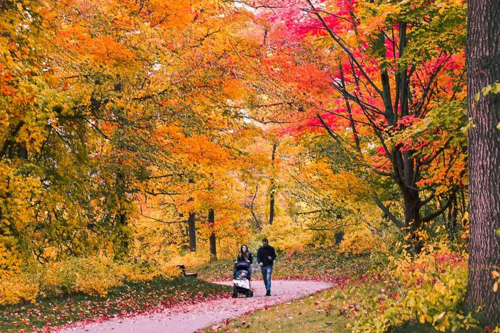 Hidden Gems to See Fall Colors