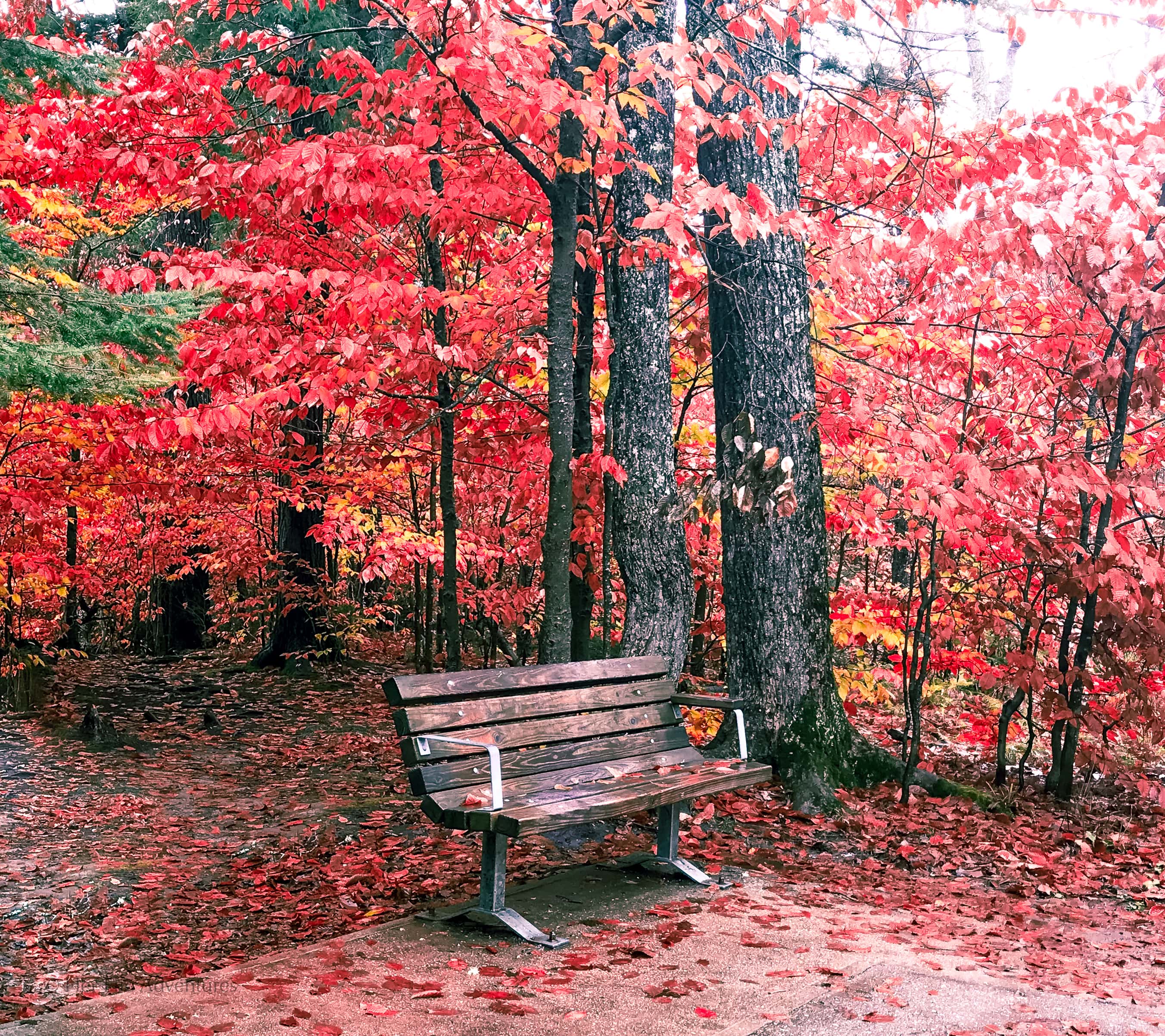 Lesser-Known Places to See Fall Colors in America