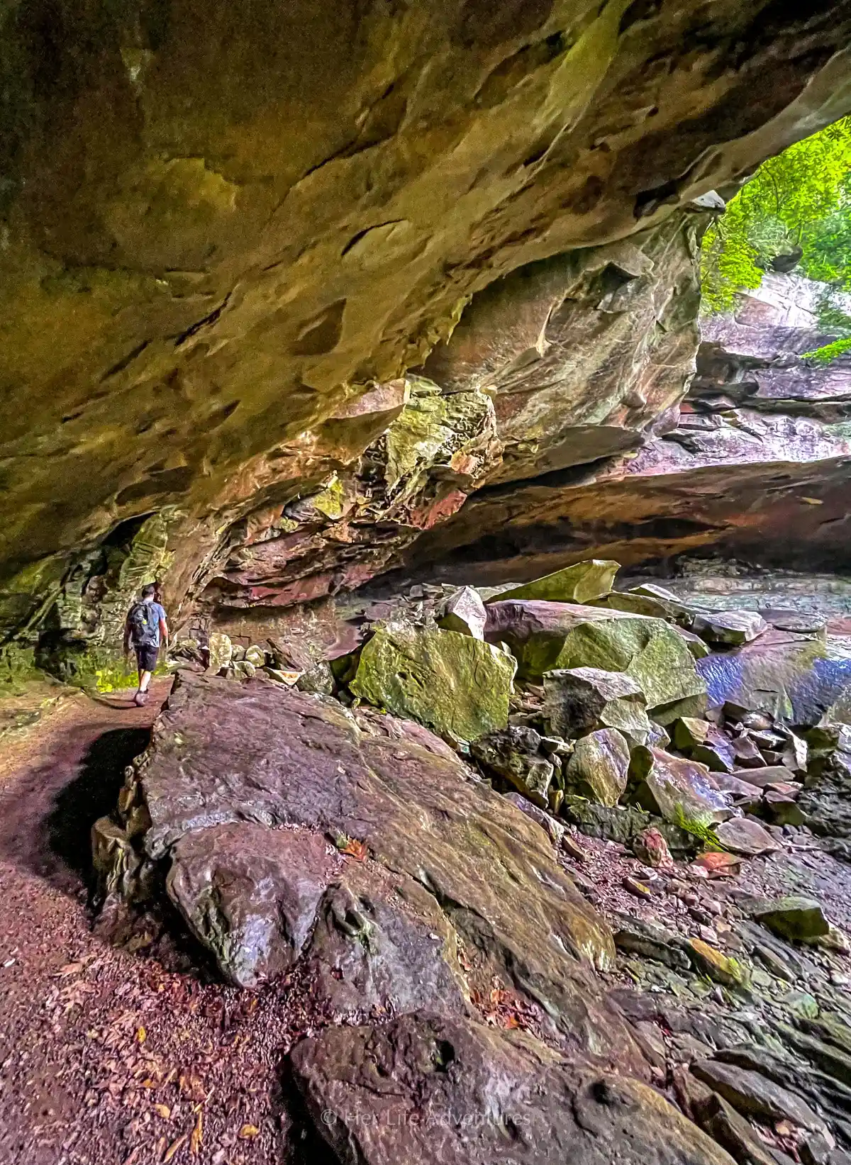 Best Hikes in Big South Fork Kentucky | Daniel Boone National Forest