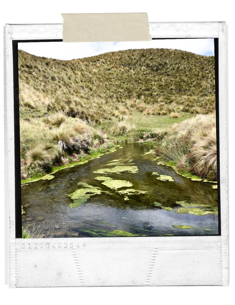 COTOPAXI NATIONAL PARK SCENERY