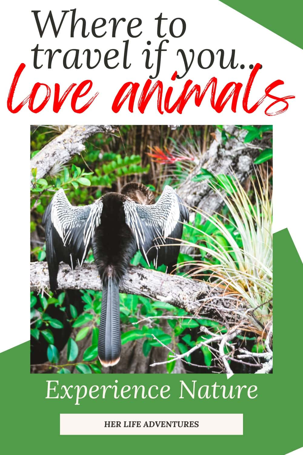Endroits incroyables que vous pouvez visiter si vous êtes heureux d'apprendre les animaux