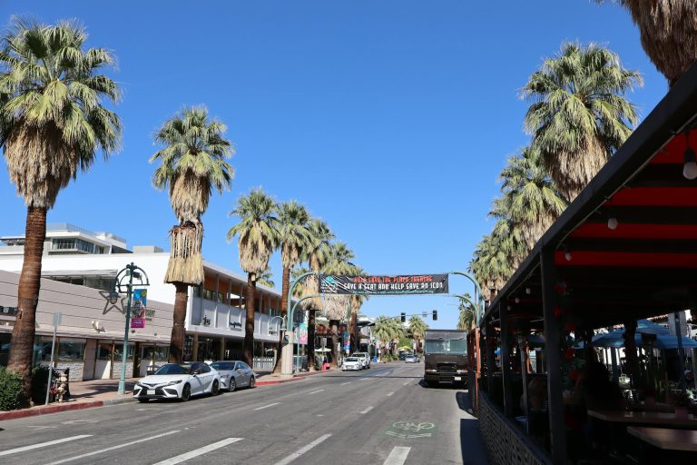 A bright Palm Springs street featuring iconic palm trees under a clear sky.