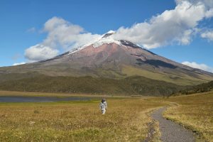 Volcanoes National Park In Rwanda