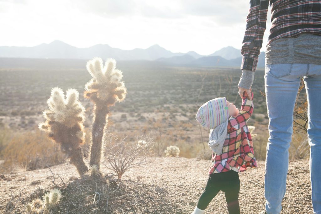 A mother and child holding hands while walking in a sunlit desert field with cacti.