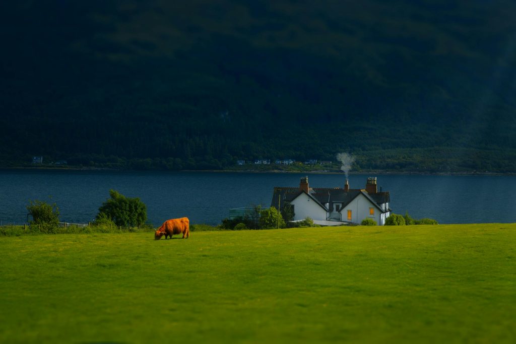 The Scottish Highlands