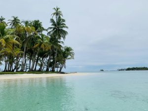 A serene beach scene in Guna Yala, Panama, featuring palm trees and crystal clear waters.