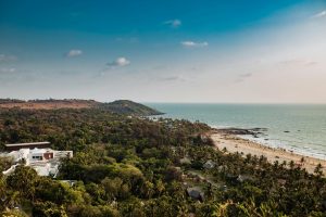 Aerial view of lush greenery and Mandrem Beach coastline under a clear sky in Goa, India.