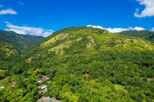 Aerial view of verdant mountains in Montego Bay, Jamaica, under a clear blue sky.