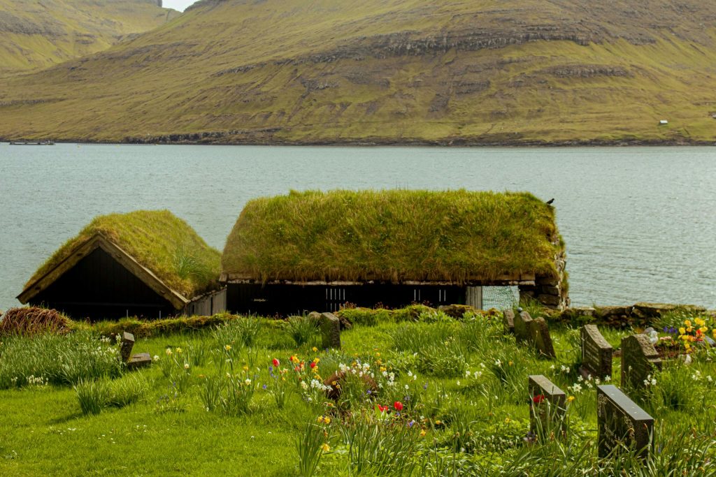 Beautiful grass-roofed buildings by a fjord in the Faroe Islands, surrounded by rugged mountains and flowers.
