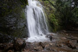 Beautiful waterfall cascading in Dina Huapi, Río Negro, Argentina, surrounded by lush foliage.