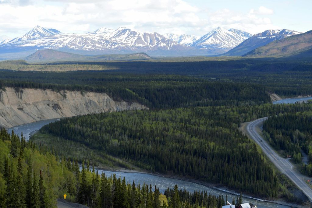 Breathtaking panoramic view of Denali National Park's mountains and forested valley.
