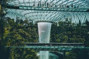 Capture the breathtaking indoor waterfall surrounded by lush greenery at Jewel Changi Airport.