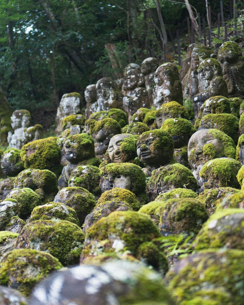 Zen Gardens Of Kyoto Japan