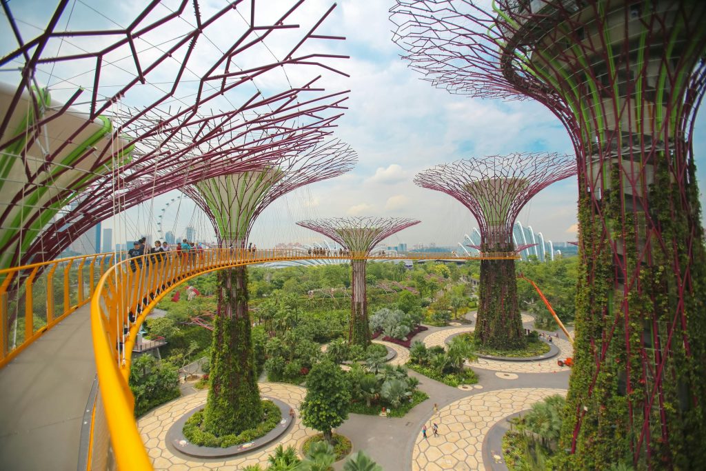 Explore the breathtaking Gardens by the Bay with towering Supertrees and lush greenery in Singapore.