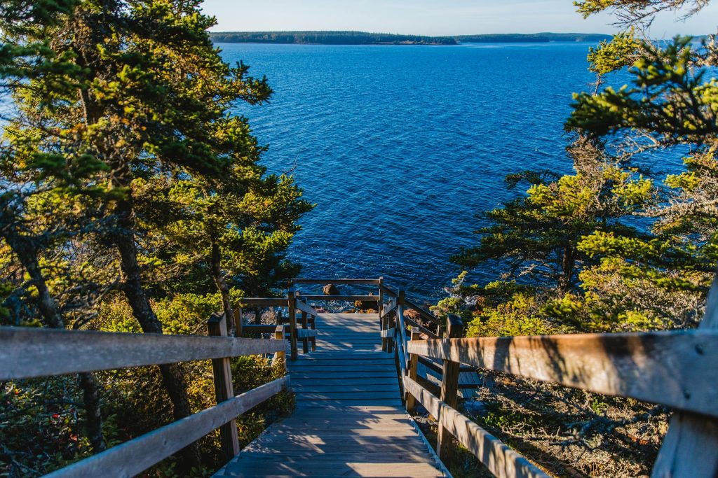 Explore the breathtaking views of the Atlantic Ocean from a wooden pathway in Tremont, Maine.