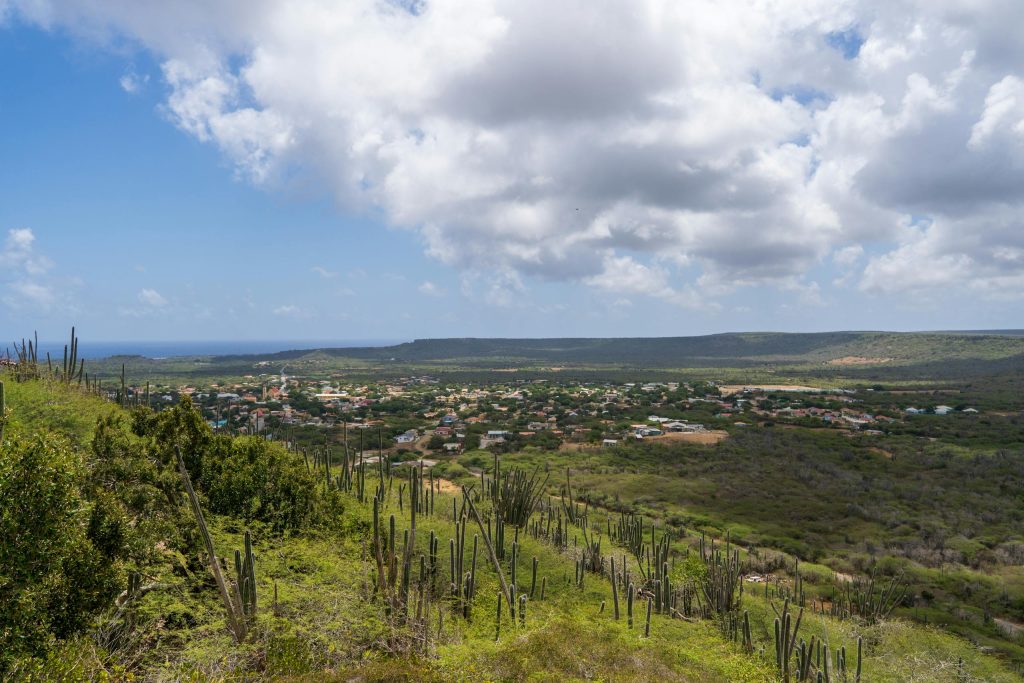 Explore the lush green landscape and skyline of Bonaire in the Caribbean.
