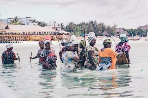 Group of African women harvesting seaweed in Zanzibar's coastal waters, showcasing local culture.