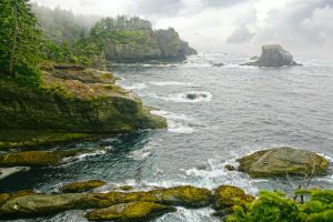 Olympic Coastal Bluffs In Washington