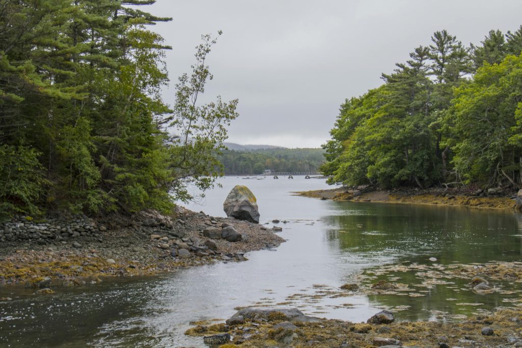 Peaceful rocky river scene surrounded by lush greenery in Acadia National Park, Maine.