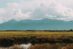 Peaceful view of mountains and grassland in Anchorage, Alaska with calm skies.