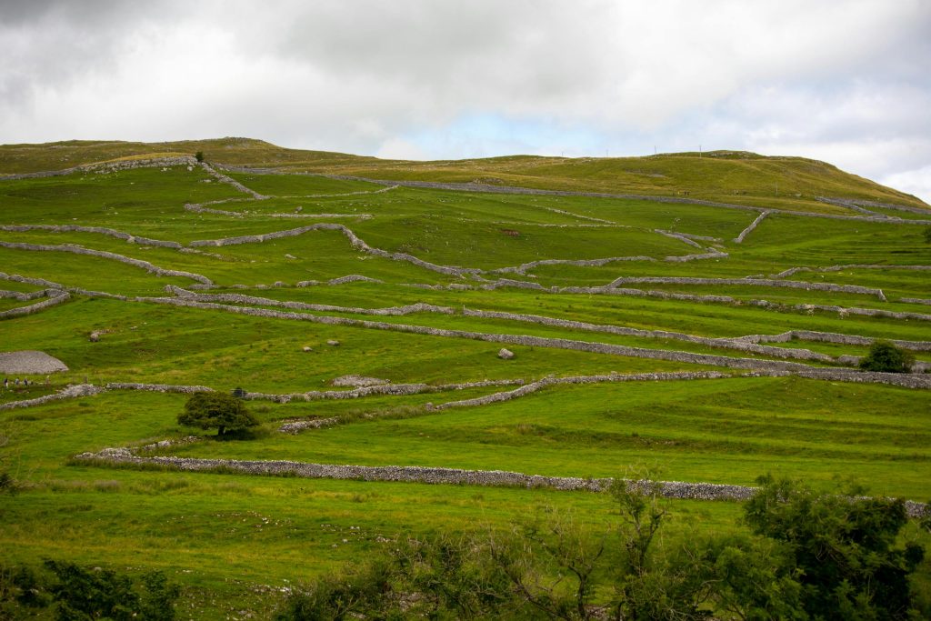 Stone Walls Of Litchfield Hills Connecticut