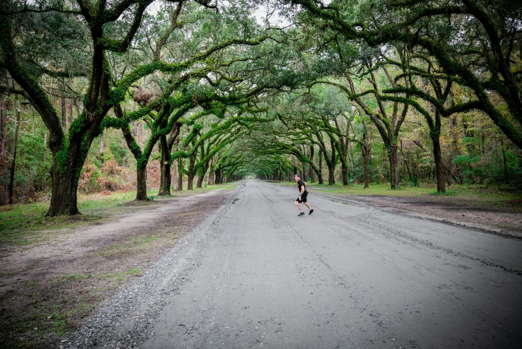 Moss-Draped Paths Of Forsyth Park In Savannah