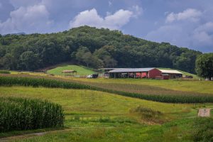 Ocracoke Village In North Carolina