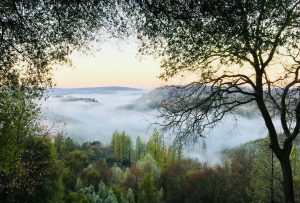 Scenic view of a foggy forest landscape at dawn in Garden Valley, California.