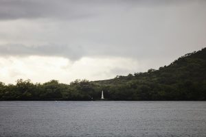 Scenic view of Captain Cook Monument surrounded by lush greenery and ocean in Hawaii.