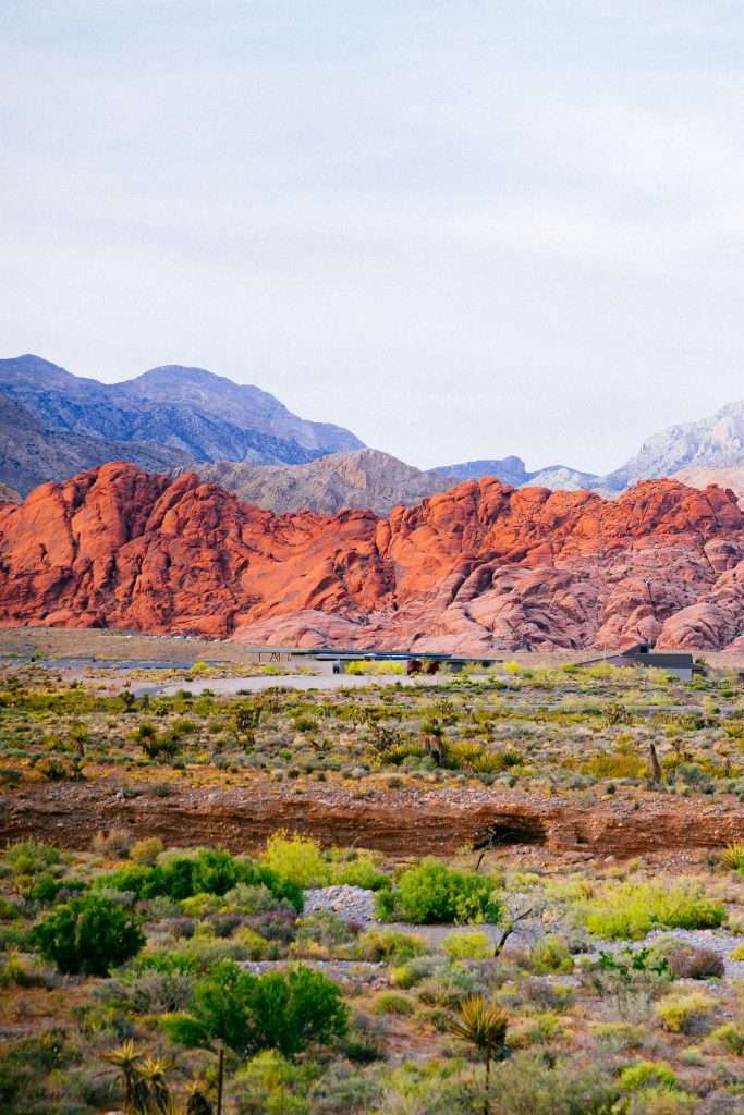 Black Rock Desert In Nevada