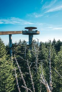 Clingmans Dome In Tennessee