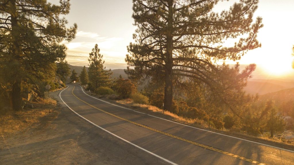 Sunset view of a serene road in Idyllwild-Pine Cove, California with tall pine trees and mountain landscape.