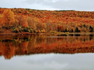 Tranquil autumn landscape with vibrant foliage reflecting in Davis Lake, West Virginia.