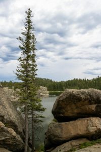 Tranquil landscapes featuring tall pine trees and rocky formations by a mountain lake under a cloudy sky.