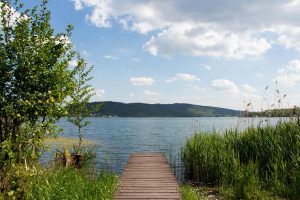 Peaceful lakeside scene with a wooden dock under a blue sky.