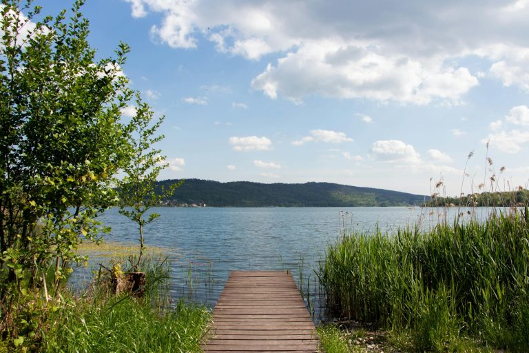 Peaceful lakeside scene with a wooden dock under a blue sky.
