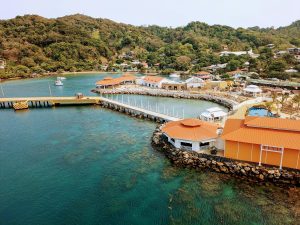 Stunning aerial view of dock and coastline in Coxen Hole, Bay Islands, Honduras.