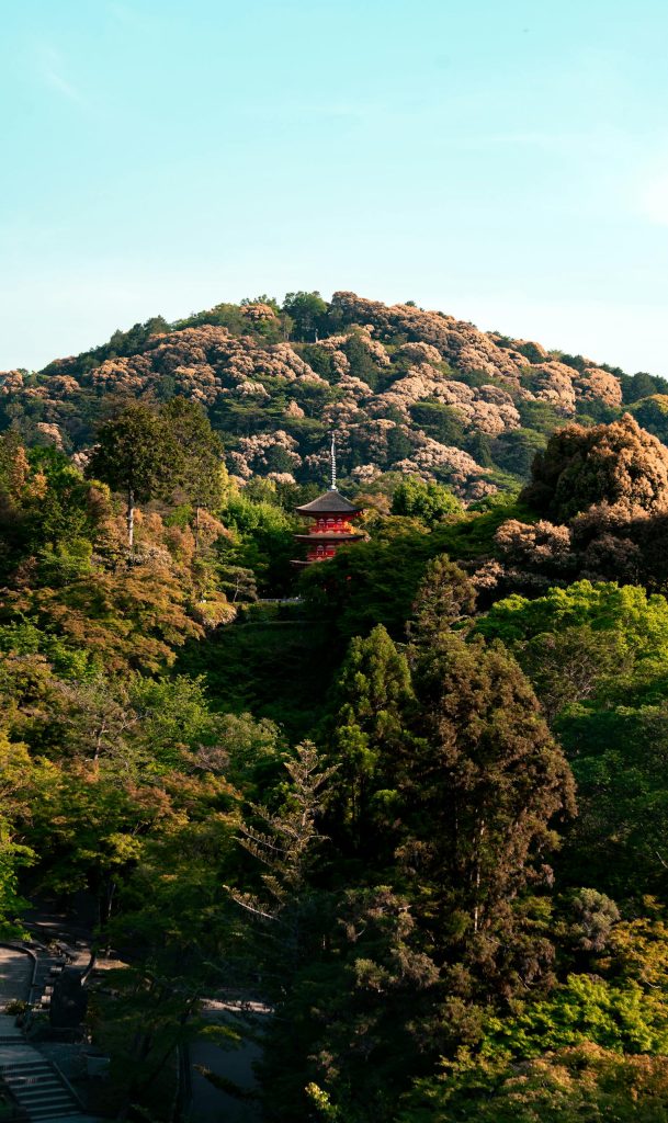 Stunning capture of a pagoda nestled in lush, vibrant foliage under a clear blue sky in Kyoto, Japan.